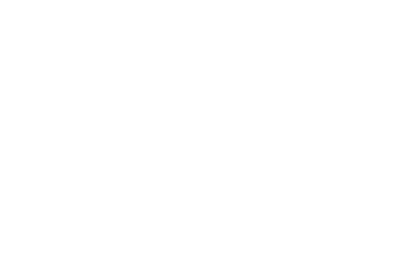 Rare Foundation